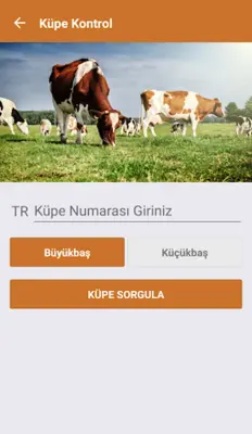 İBB Kurban android App screenshot 5